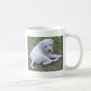 Pesquisar por buldogue americano canecas Branco