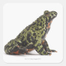 Pesquisar por inchado adesivos Natureza