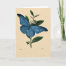 Pesquisar por schmetterlinge Azul