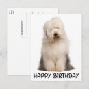 Pesquisar por cartão inglês antigo cartoes Velho cão pastor inglês