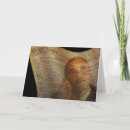 Pesquisar por presidencial cartoes América