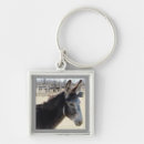 Pesquisar por burros chaveiros Asno