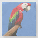 Pesquisar por macaw porta copos Papagaio
