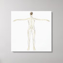 Pesquisar por sistema nervoso humano impressão de canvas Anatomia