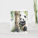 Pesquisar por cartão do urso de panda cartoes Vida selvagem
