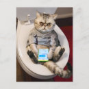 Pesquisar por humor adulto convites Gato