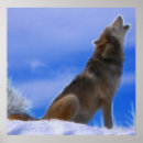 Pesquisar por lobo solitário pôsteres pósteres Wolfs