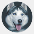 Pesquisar por ame o meu adesivos Cão