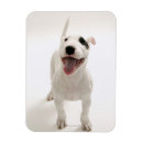 Pesquisar por partes do corpo imas Vertical