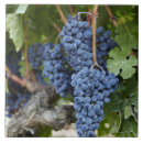 Pesquisar por vinho tinto azulejos Arte