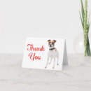 Pesquisar por jack russel cartoes Jack russell terrier