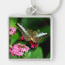 Pesquisar por pente chaveiros Para todos