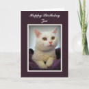 Pesquisar por happy birthday cat Para ela