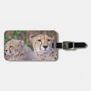 Pesquisar por onça bagagem tags Chita