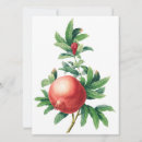 Pesquisar por frutas verdes cartoes postais Para eles