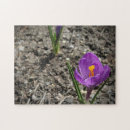 Pesquisar por foto flores roxo quebra cabecas Para todos