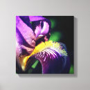 Pesquisar por da íris canvas impressão de canvas Para ela