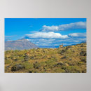 Pesquisar por patagonia pôsteres pósteres Montanha