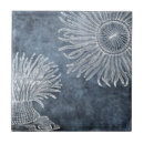 Pesquisar por azul meia noite azulejos Marinho