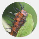 Pesquisar por fricção adesivos Borboleta