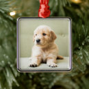 Pesquisar por sofá ornamentos Cão