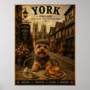 Pesquisar por do yorkshire terrier pôsteres pósteres Qualquer pessoa