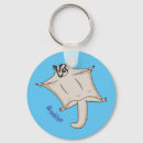 Pesquisar por o planador chaveiros Para todos