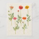 Pesquisar por calendário cartoes postais Para ela