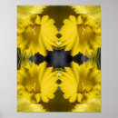 Pesquisar por daffodil pôsteres pósteres Flor