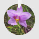 Pesquisar por flor da orquídea ornamentos Qualquer pessoa