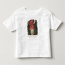 Pesquisar por francois camisetas Nicolas