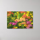 Pesquisar por flores coloridas impressão de canvas Qualquer pessoa
