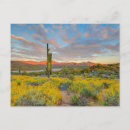 Pesquisar por lord cartoes postais Fred j lord