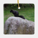 Pesquisar por esquilo ornamentos Amante de esquilo