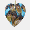 Pesquisar por insetos ornamentos Para todos