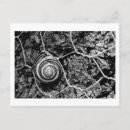 Pesquisar por espiral cartoes postais Textura