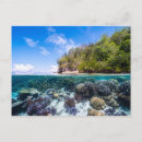 Pesquisar por underwater cartoes postais Oceano