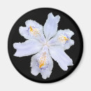 Pesquisar por flor branca azul imas Branco