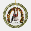 Pesquisar por de natal de bull terrier ornamentos Feriado