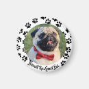 Pesquisar por pata cachorro imas Para pets