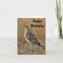 Pesquisar por aves canoras cartoes Sturnella neglecta