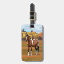 Pesquisar por cavalo marrom do pinto Garanhão