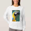 Pesquisar por parque nacional do iguacu camisetas Brasil