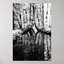 Pesquisar por reflexivo pôsteres pósteres Natureza