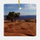 Pesquisar por rocha ornamentos Paisagem