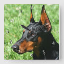 Pesquisar por doberman relogios de parede Cães