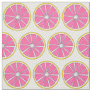 Pesquisar por fruta artesanato material Rosa