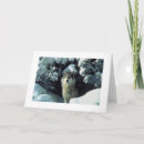 Pesquisar por lobo na neve cartoes Natureza