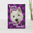 Pesquisar por lang cartoes Scotland