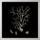 Pesquisar por fundo do oceano pôsteres pósteres Recife